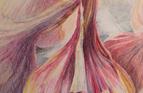 Garlic Violette
Pencil
NFS