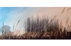 Reeds near Sibton, Suffolk		

19x38		Pastel