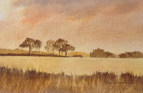 November Fields, Uggeshall, Suffolk
28x53cm Pastel