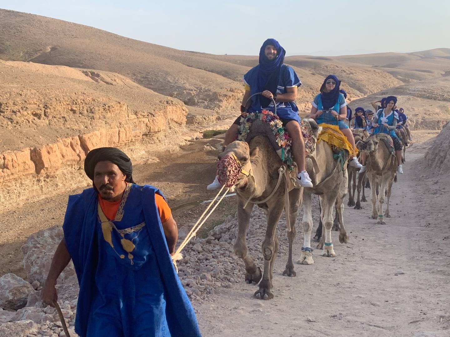People riding camels