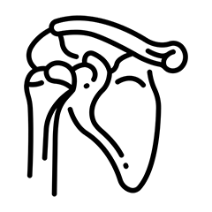 shoulder
