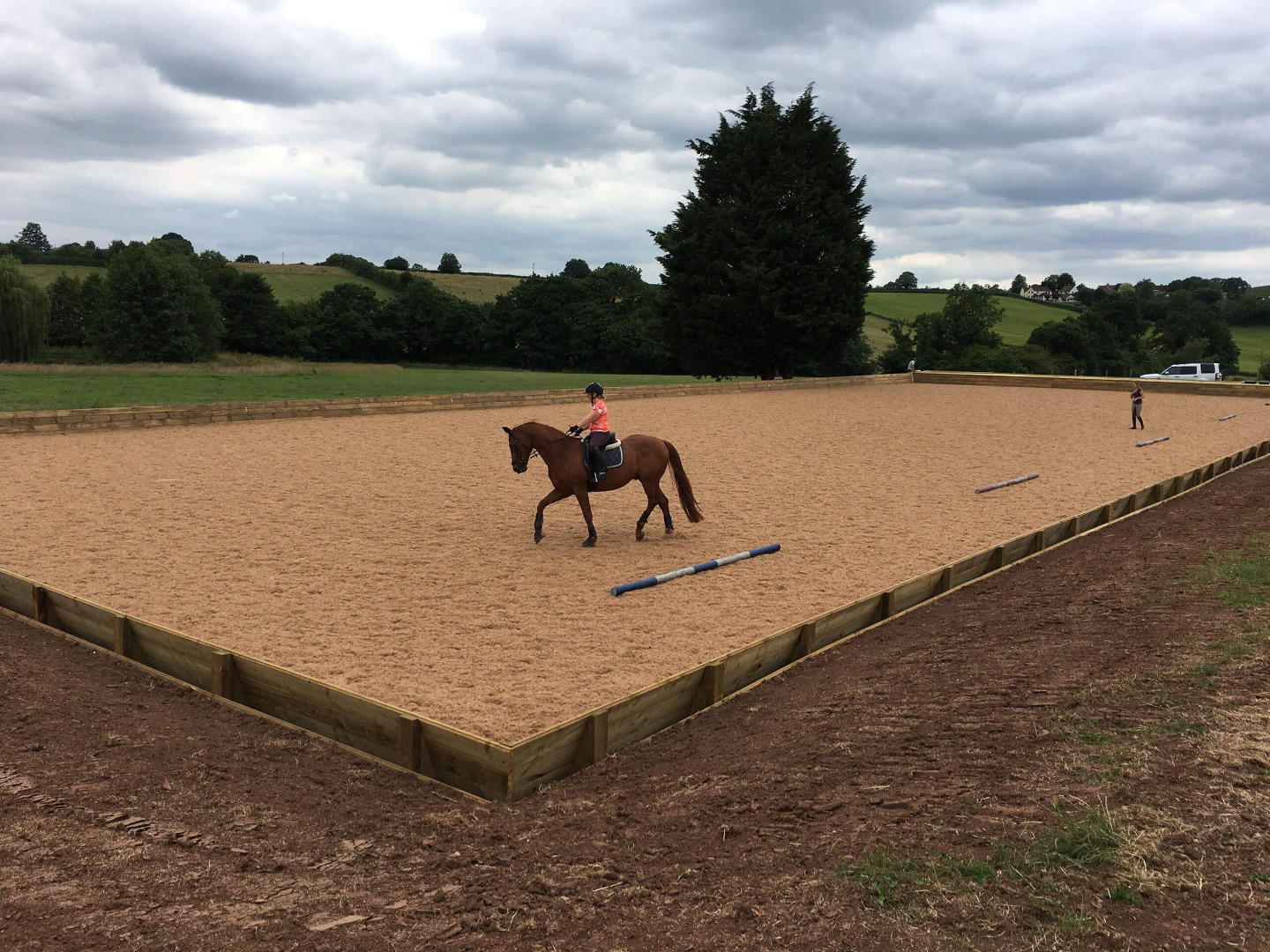 Horses on a waxed surface on an arena in Somerset