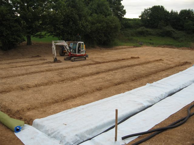 Rows of sand
