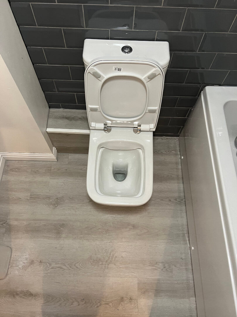 Project 3 toilet