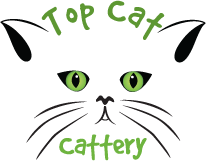 Top Cat Cattery Logo