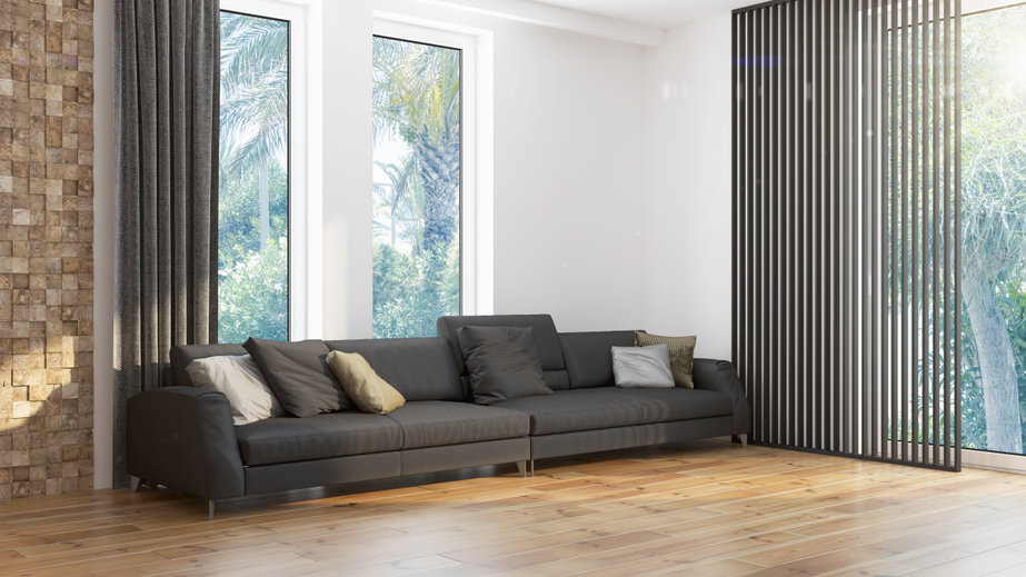 clean couch in the living room