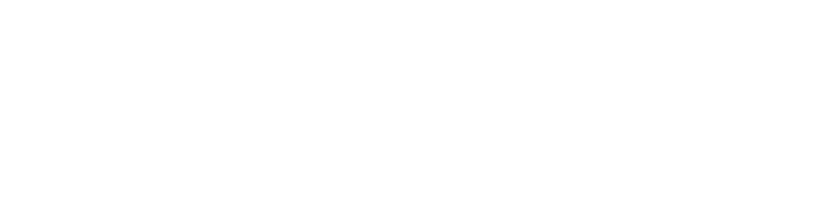Dr Richard Lee Signature