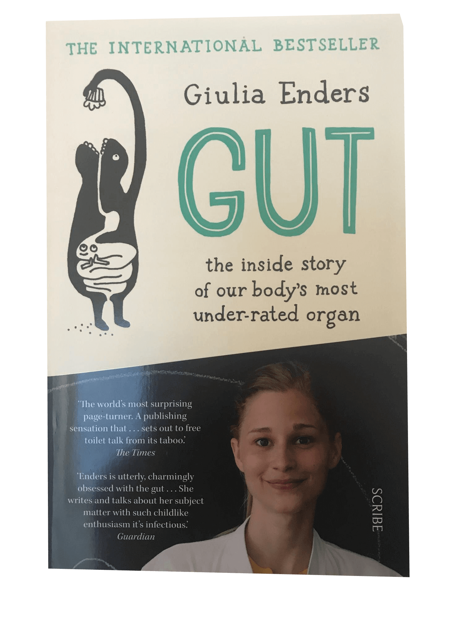 Gut book cover