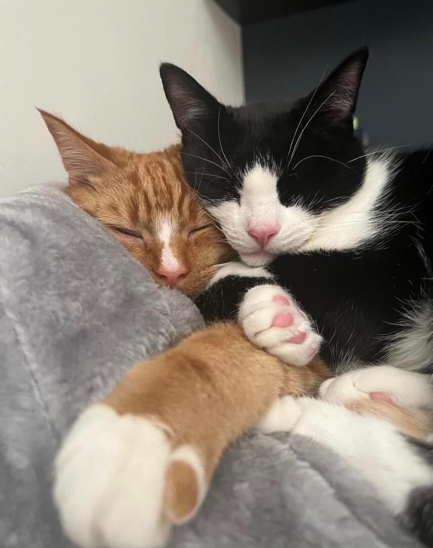 Obi and Kerrie