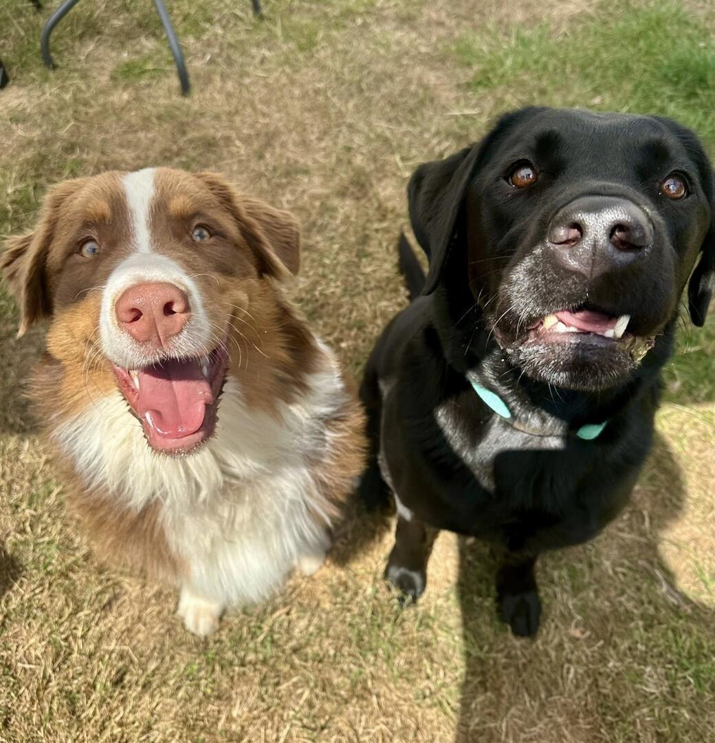 Ted and Dunc