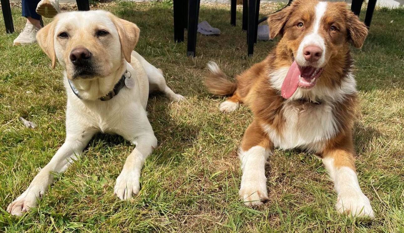 Ted and Nellie
