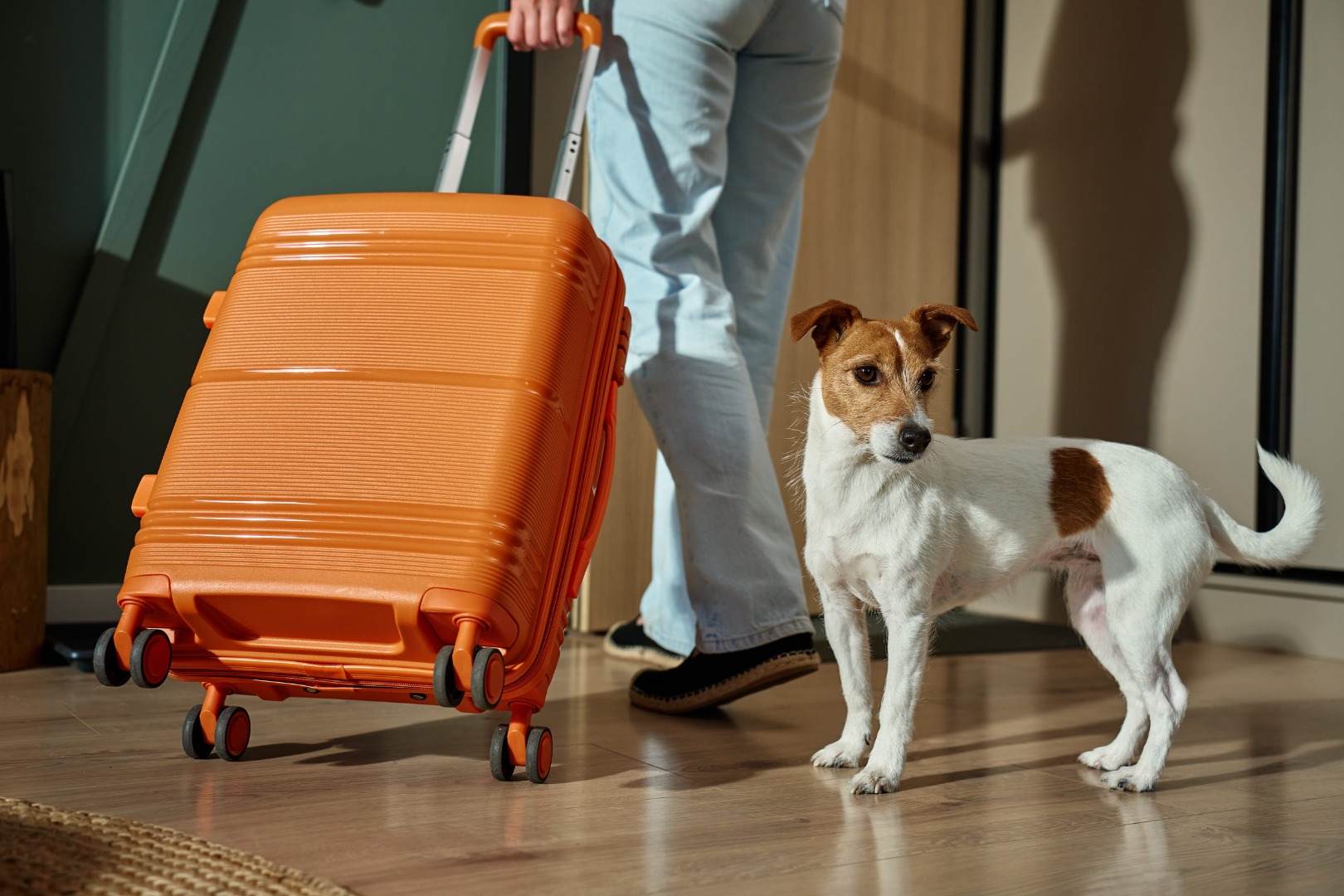 woman leaving home with dog