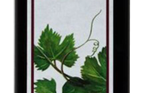 Organic Balsamic Vinegar