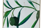 Organic Levant Sunrise Olives