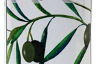 Organic Green Olives (Pitted)
