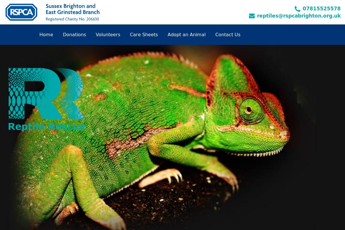 Welcome To RSPCA Reptile Rescue : RSPCA 