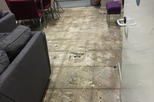 Floor Repair Basement Flood - Before