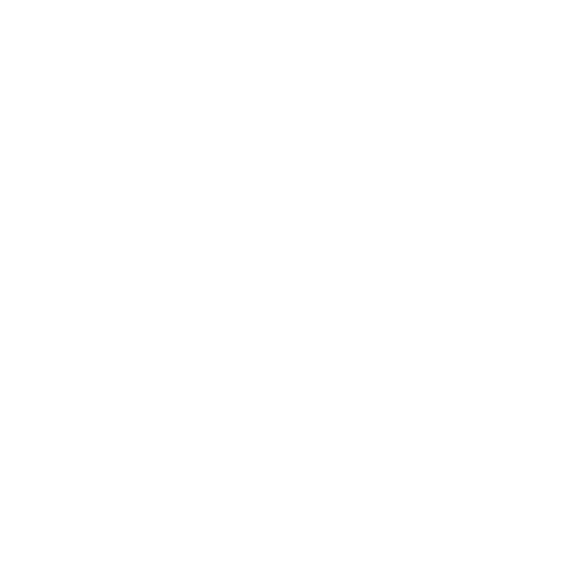 pound coin icon
