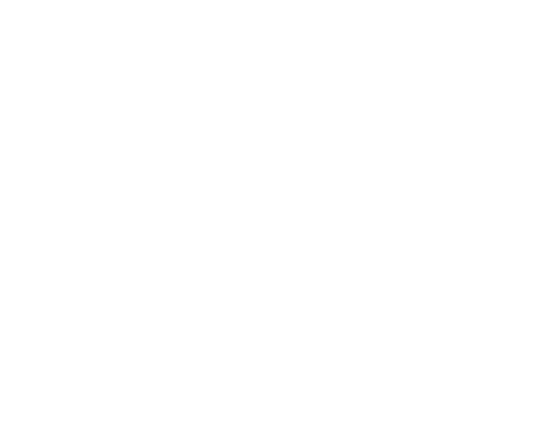 Engineering watermark