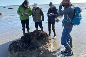 Rock Pooling Aldwick March 2025