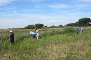 Banner for Medmerry surveys