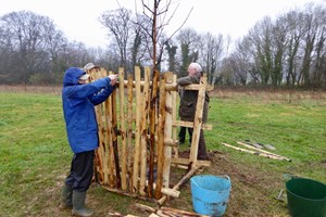 Banner - Tree Planting Legacy Project