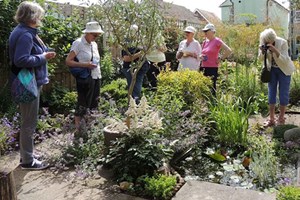 Wildlife garden - Chichester