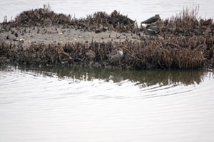 Titchfield Haven Feb 2025