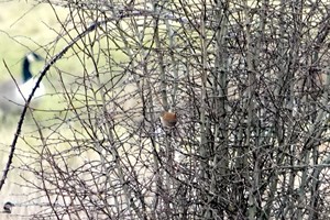 Titchfield Haven Feb 2025