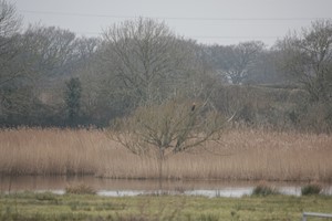 Titchfield Haven Feb 2025