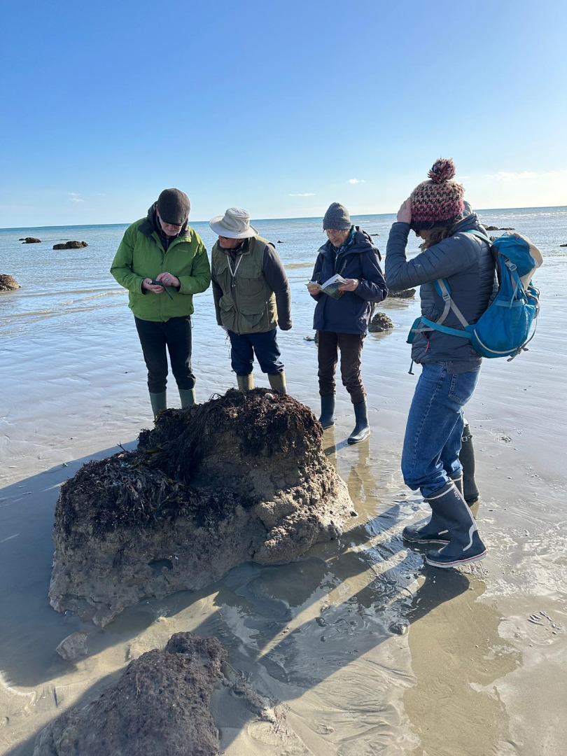 Rock Pooling Aldwick March 2025