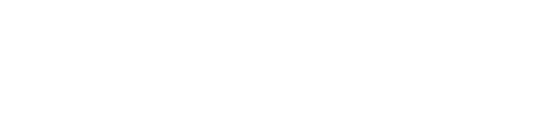solent mind logo
