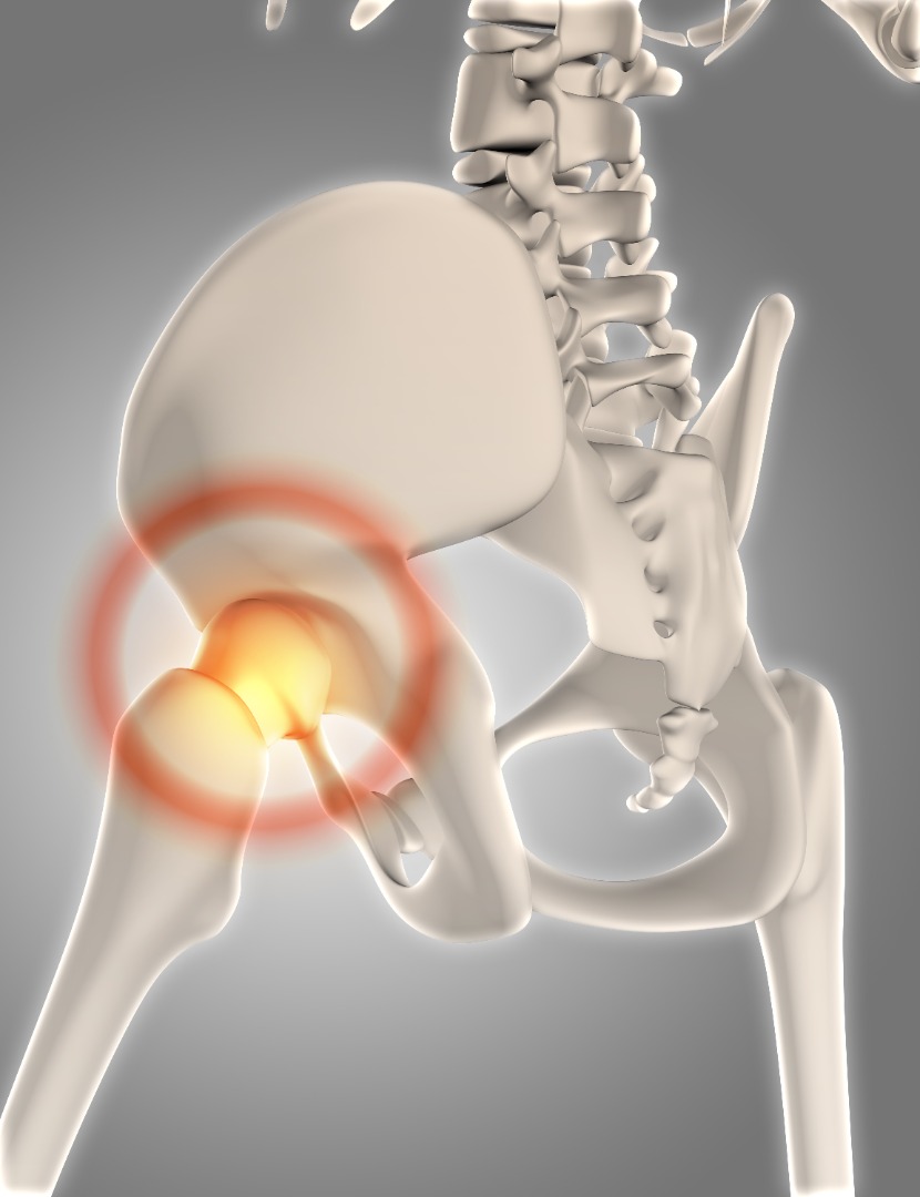 3d skeleton leg pain