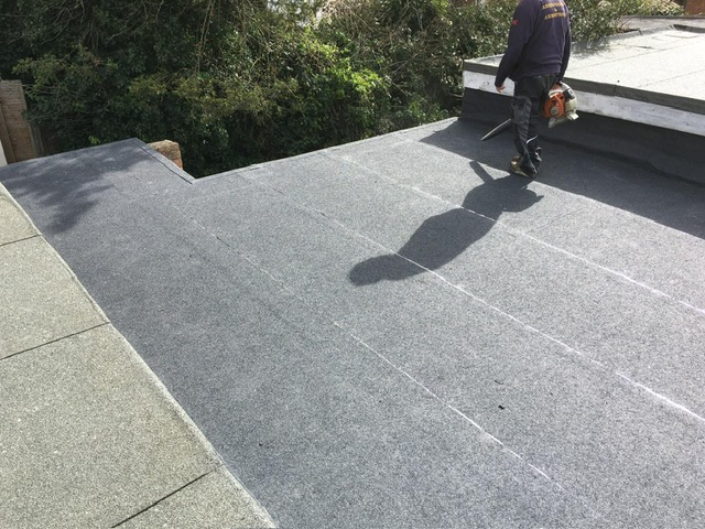 The flat roofs