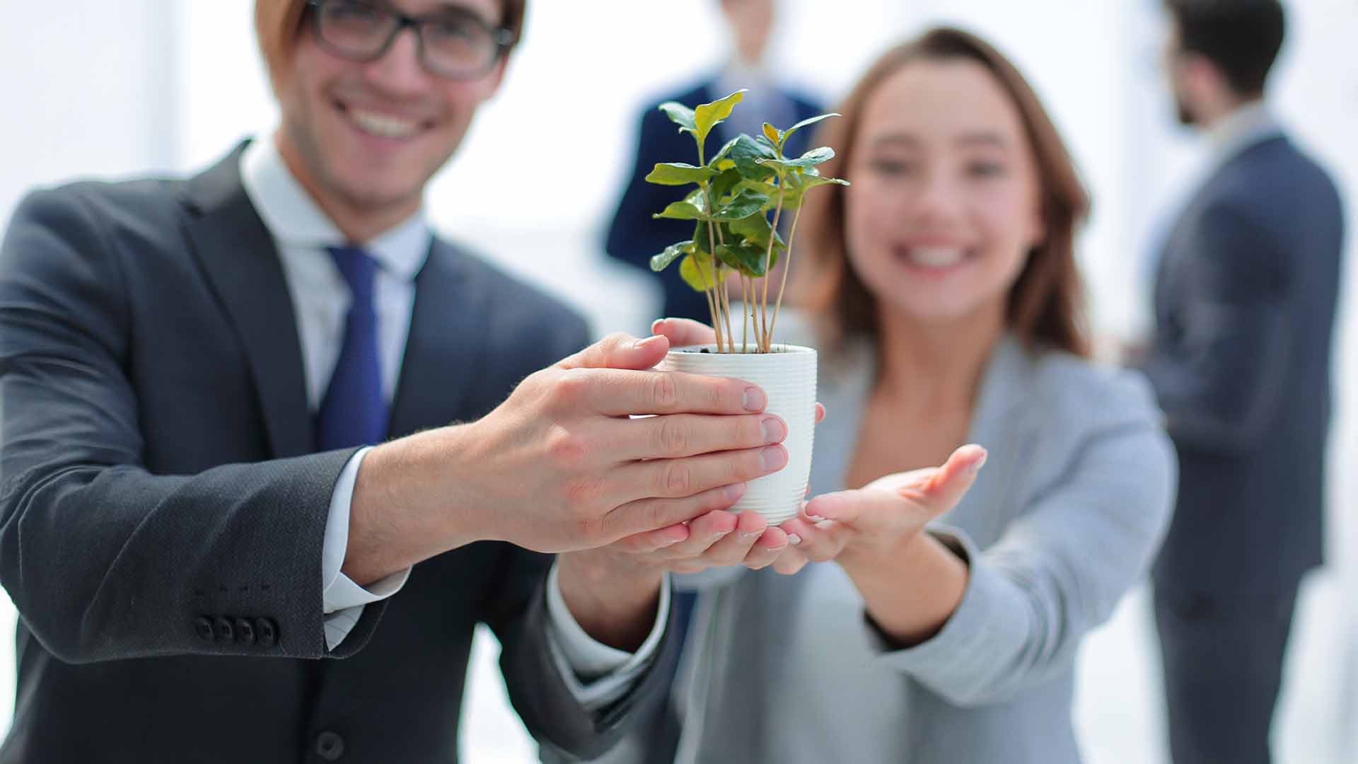 Environmental support services