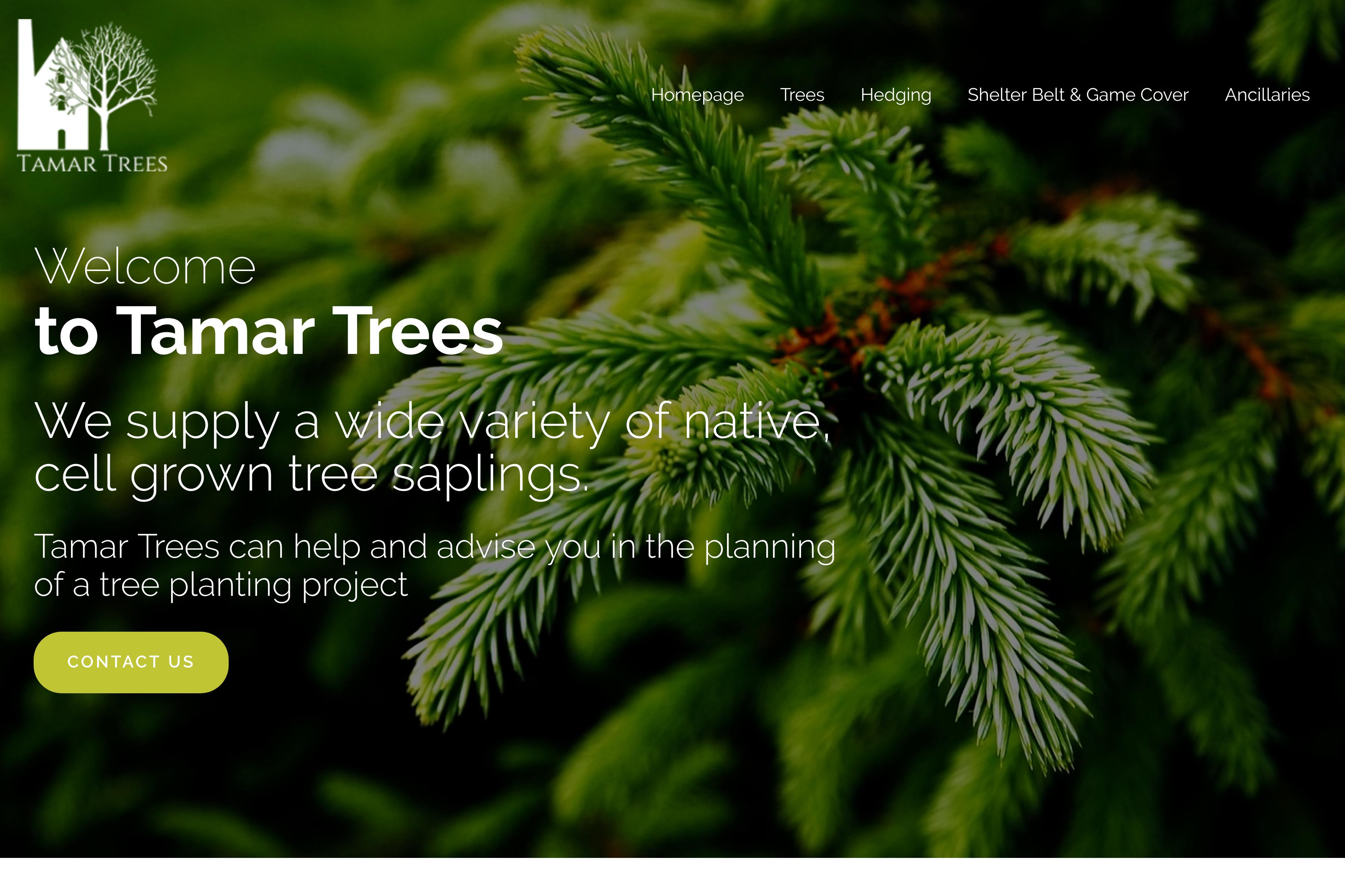 Broadleaf Trees : Tamar Trees