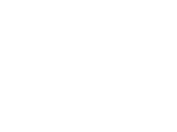 Logo icon