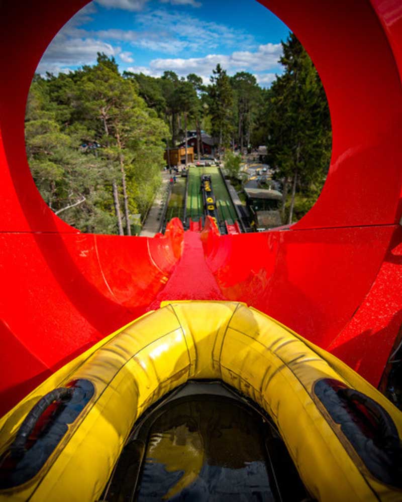 Landmark forest adventure park