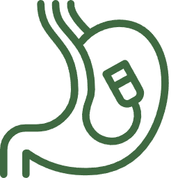 Gastroscopy