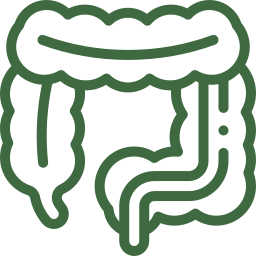 Sigmoidoscopy
