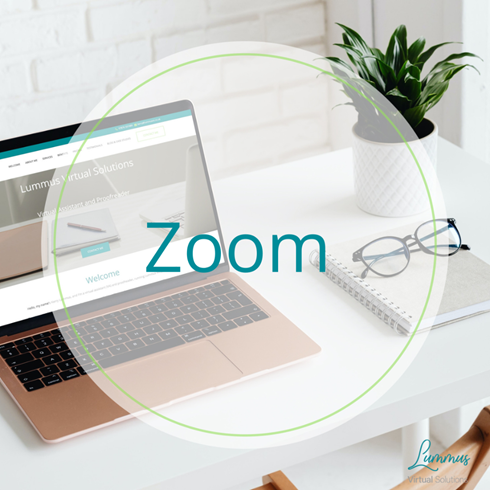 Zoom co-host, Zoom host support, Zoom buddy, Zoom support, Zoom hosting support, Zoom genius, Zoom guru, online training support, online workshop support, presenting virtually, virtual presentation support