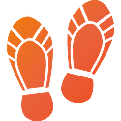 orthotics icon