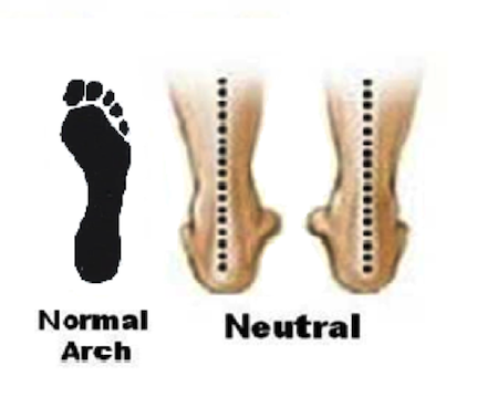 Normal feet diagram