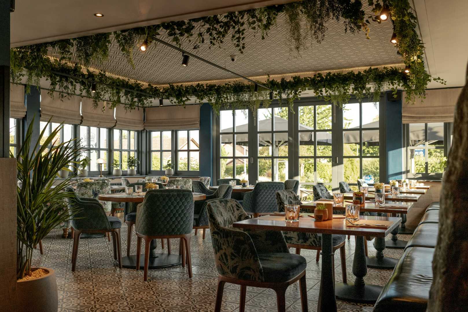 The Dorset