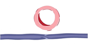 Mark o donnell logo white