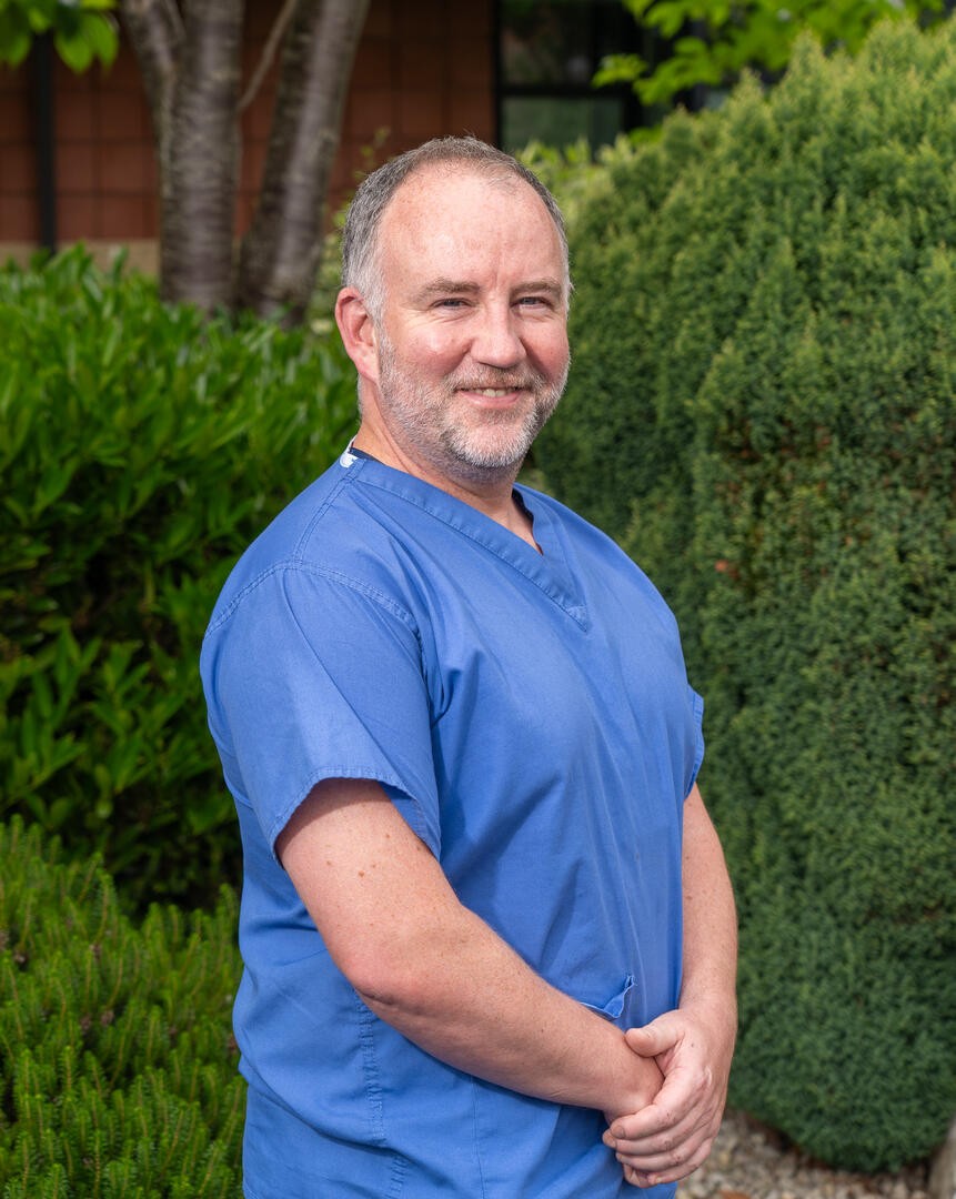Prof mark odonnell