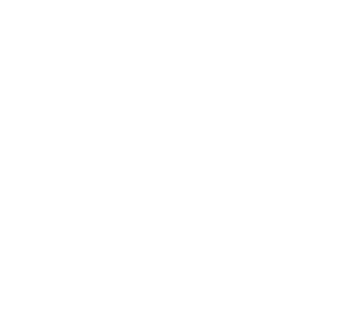 compliance icon