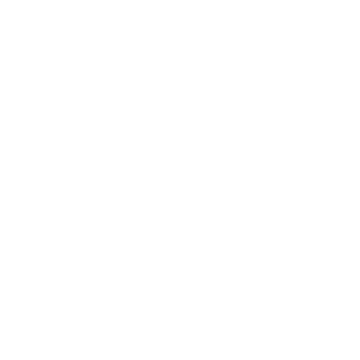 compliance icon
