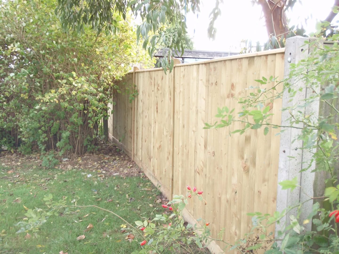 Domestic fencing