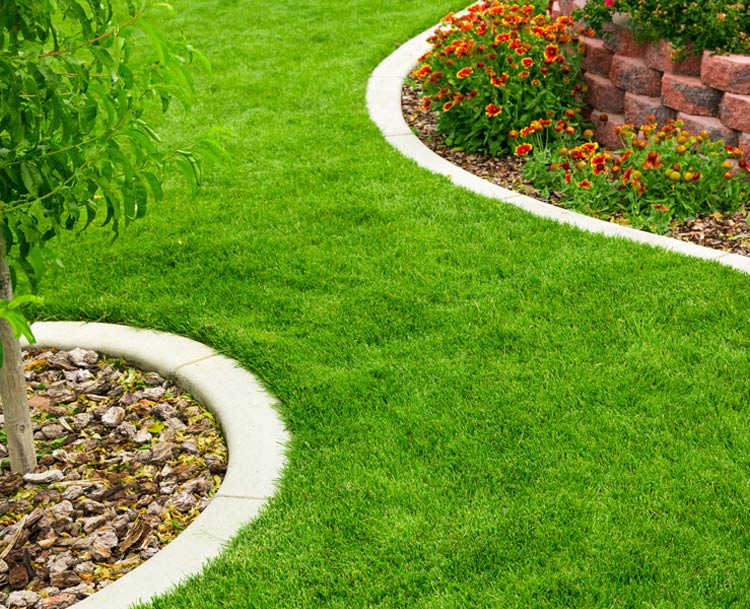 garden borders